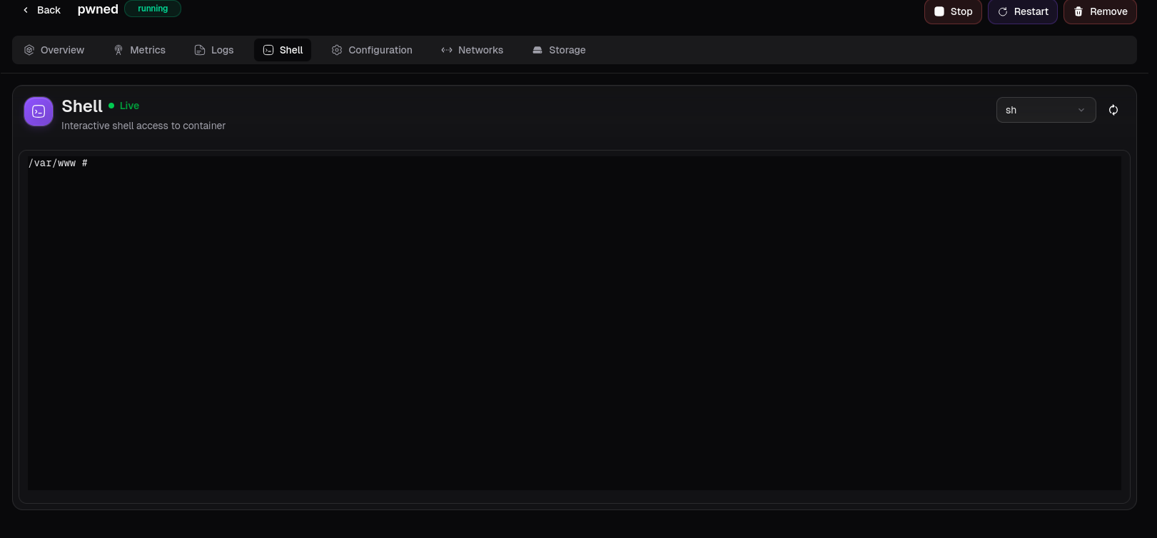 Shell interactiva dentro del contenedor
